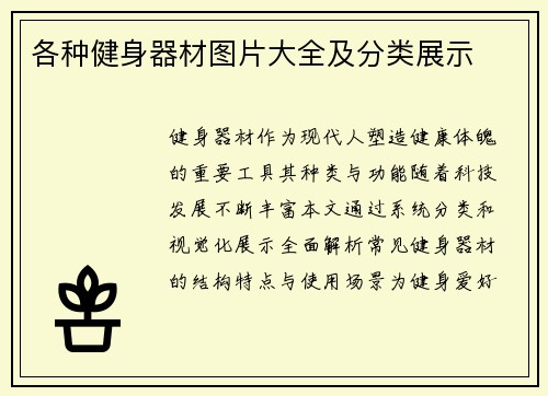 各种健身器材图片大全及分类展示