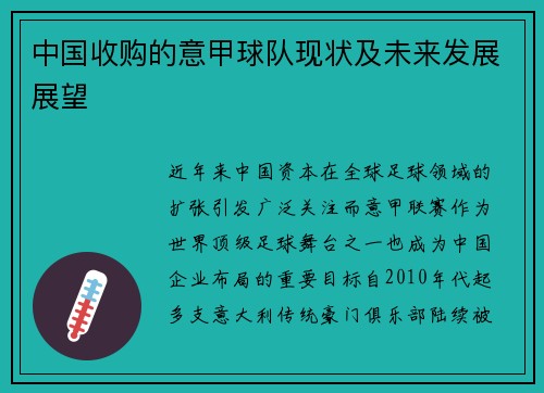 中国收购的意甲球队现状及未来发展展望